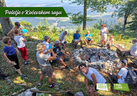 Fotografija: zgibanka Poletje v Kočevskem rogu 2025