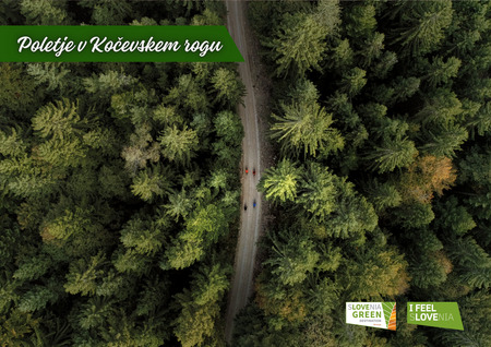 Fotografija: zgibanka Poletje v Kočevskem rogu 2025