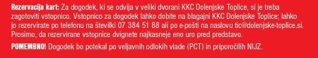 Pokovka3
