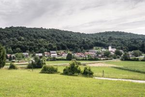 Kočevske Poljane