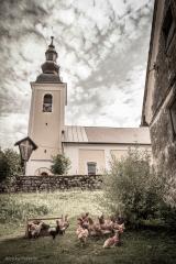 Cerkev