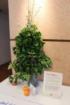 velikonocne_dobrote_mojca_znidarsic020