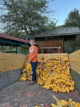 Ličkarija v Občicah