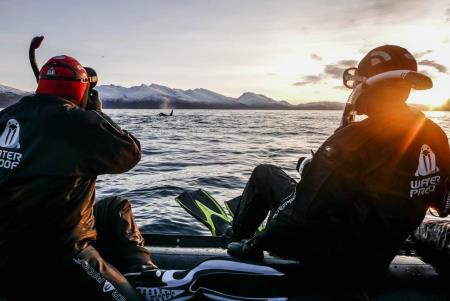 Plavanje s kiti, Nastja Vidmar