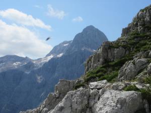 IMG_1541