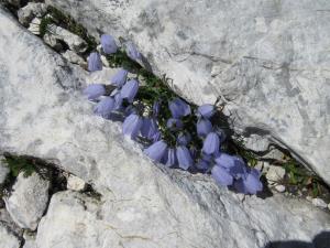 IMG_1645