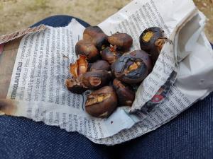 22449743_1652670744796200_2284596444028464880_n