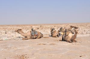 CSC_0295