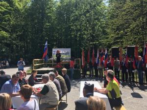 IMG-2936